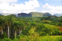 Viñales
